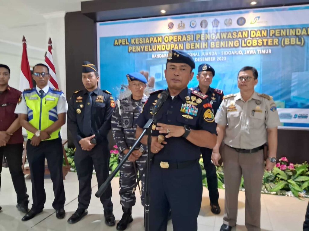 Benih Lobster Ilegal