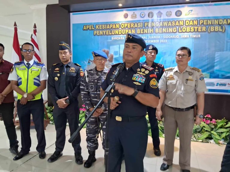 399 Ribu Benih Lobster Ilegal Gagal Diselundupkan di Bandara Juanda