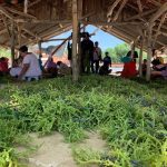 Budidaya Rumput Laut