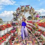 eaad77a437b7529b1b50cf89e6a15b29