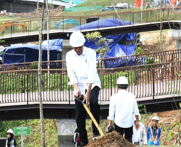 Presiden Jokowi Tanam Pohon Bersama