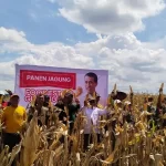 Food Estate Gunung Mas