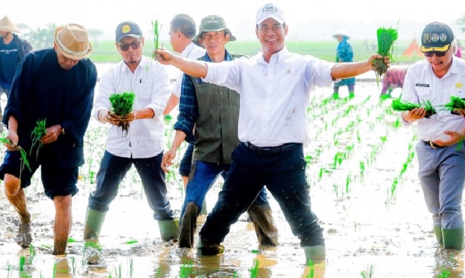 Mentan Amran Tanggapi Kritikan