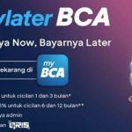 Cara Daftar BCA Paylater, Dapatkan Limit Hingga Rp20 Juta.