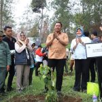 Bibit Pohon Gunung Merbabu