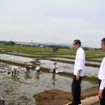 Presiden Jokowi Tinjau Kegiatan Tanam Padi di Kabupaten Banyumas