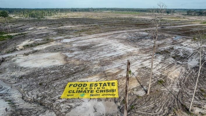 Pengertian Food Estate yang Disebut Anies Proyek Gagal