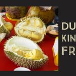 Durian Sering Disebut Raja Buah, Ternyata Ini Alasannya.
