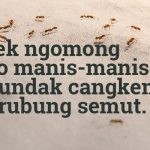 Daftar Kata-kata Lucu Bahasa Jawa dan Artinya, Bikin Ketawa Ngakak.