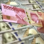 231137f9-2216-4fb8-aaa4-1fdb3adc4646_169