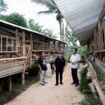 puan peternakan domba