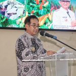 magelang tanaman cabai