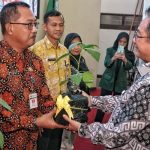 magelang tanaman cabai