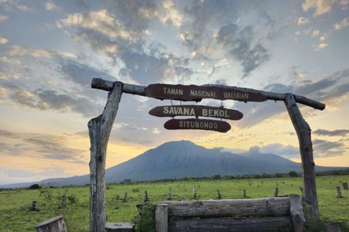 Taman Nasional Baluran tutup
