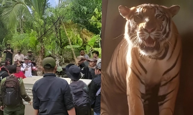 Kantor TNBBS Dibakar Massa