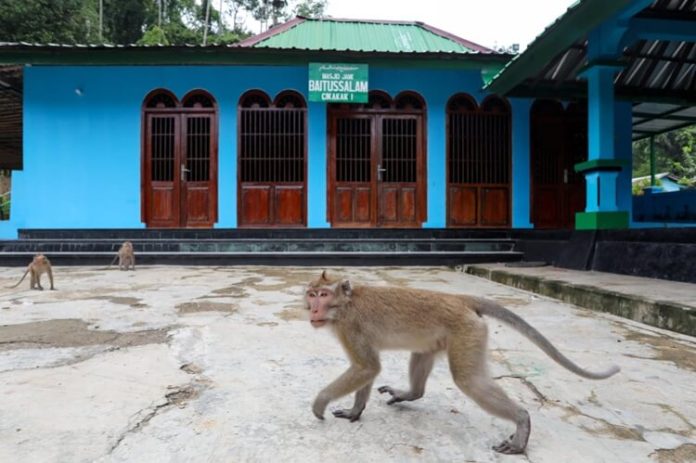 Masjid Saka Tunggal Banyumas