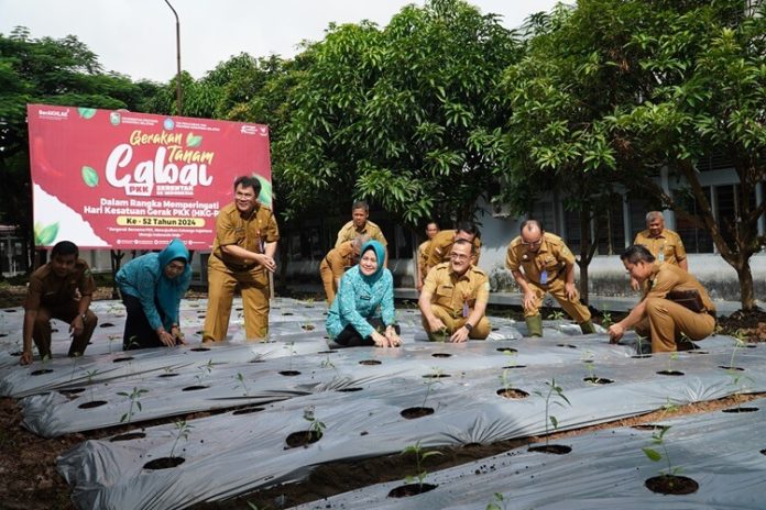 Gerakan Tanam Cabai Serentak