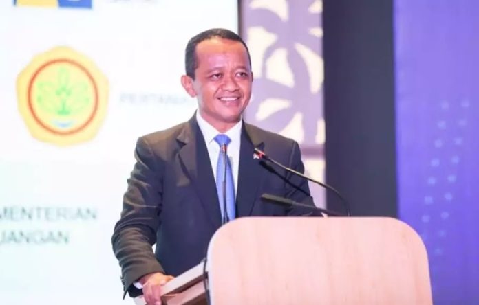 Lahan Merauke Kebun Tebu