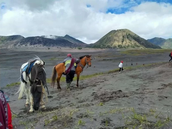 Wisata Gunung Bromo