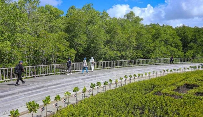 Kawasan Tahura Ngurah Rai Siap Dikunjungi