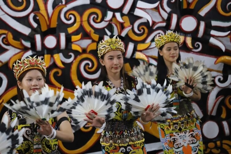 HKN Suku Dayak