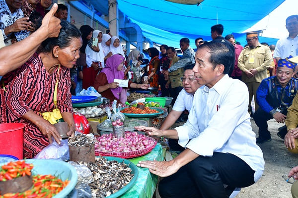Presiden Jokowi Tinjau Stabilitas Harga