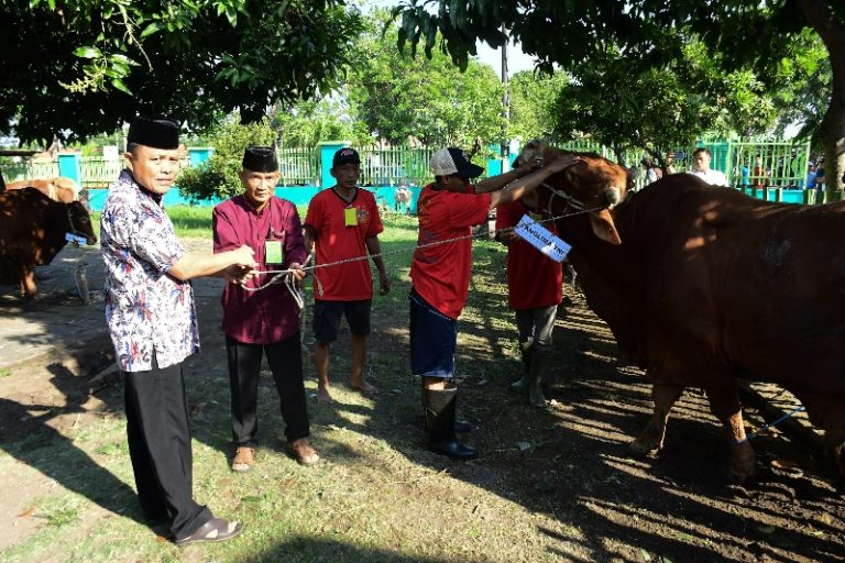 Komandan Puspenerbal Serahkan 58 Hewan Kurban Usai Solat Idul Adha 1445 H