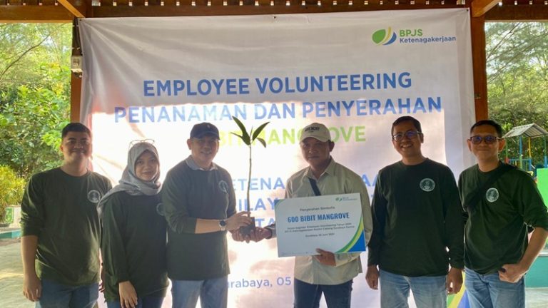 Employee Volunteering, Karyawan BPJamsostek Surabaya Darmo Tanam Bibit Mangrove