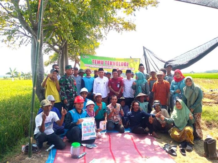 Rembang Listrik Sawah