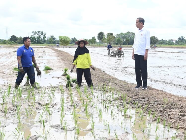 Pompanisasi Kotawaringin Timur