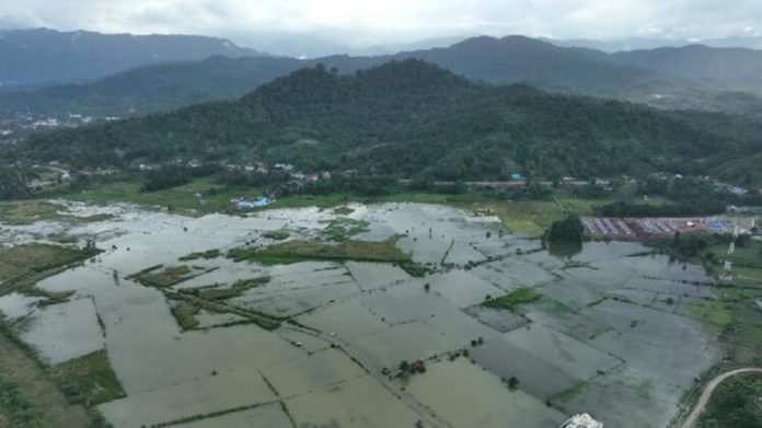 Sawah di Konawe Banjir