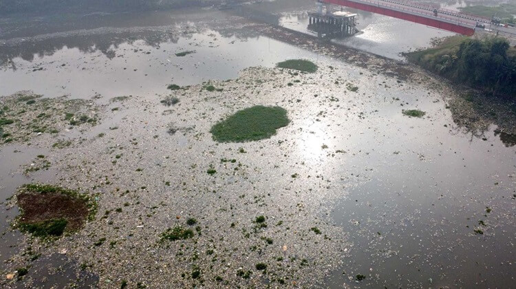 Bahan Aktif Obat Citarum