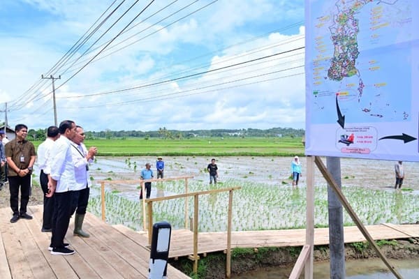 Presiden Jokowi dan Ibu Iriana Tinjau