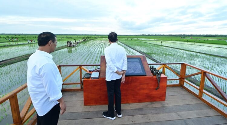 Presiden Jokowi dan Ibu Iriana Tinjau Simulasi Drone Tabur Pupuk di Papua Selatan