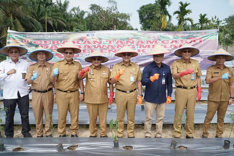 Gerakan Tanam Cabai Bawang Merah