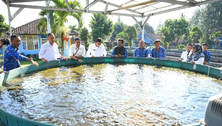 Perairan Umum Daratan Wanayasa