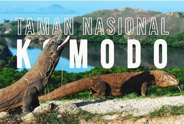 Taman Nasional Komodo Ditutup