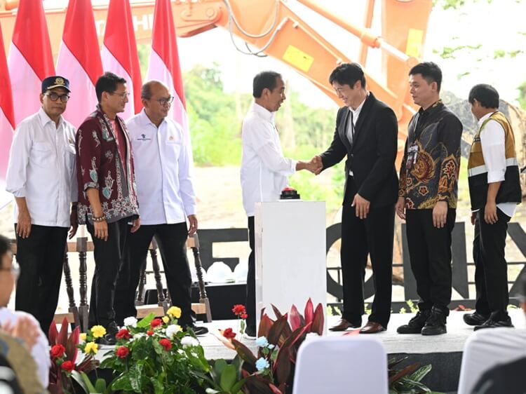 Presiden Jokowi Lakukan Groundbreaking Delonix Nusantara, Bukti Kepercayaan Investor Global