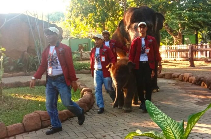 Rocky Balboa Keluarga Gajah KBS