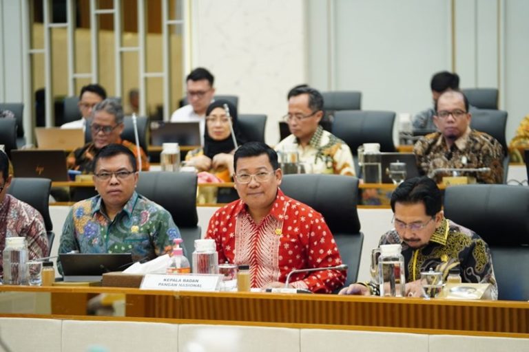 Utamakan Optimalisasi Cadangan Pangan Pemerintah, Badan Pangan Nasional Dorong Keberlanjutan Program Intervensi Pengendali Inflasi
