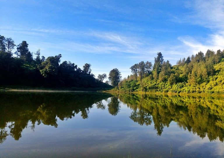 Ranu Regulo Dibuka Kembali! Surga Tersembunyi di Kaki Gunung Semeru