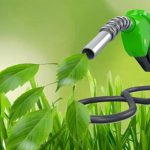 Kementerian ESDM Ungkap Tanaman Pengganti BBM Bensin yang Ada di Indonesia.