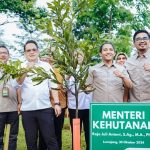 Pemanfaatan Hutan Sosial