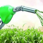 Kementerian ESDM Ungkap Tanaman Pengganti BBM Bensin yang Ada di Indonesia