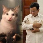 Bobby Kertanegara Pindah ke Istana Negara, Trending Topik di Medsos.