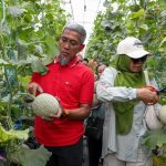 Jateng Pertanian Modern
