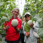 Jateng Pertanian Modern
