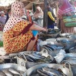 Ini Langkah Cerdas Dinas Perikanan Sumenep Geliatkan Produk Olahan Ikan.