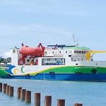 WhatsApp Image 2024-11-15 at 16.42.45