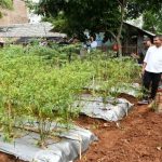 Bey Wisata Edukasi Cibiru Wetan